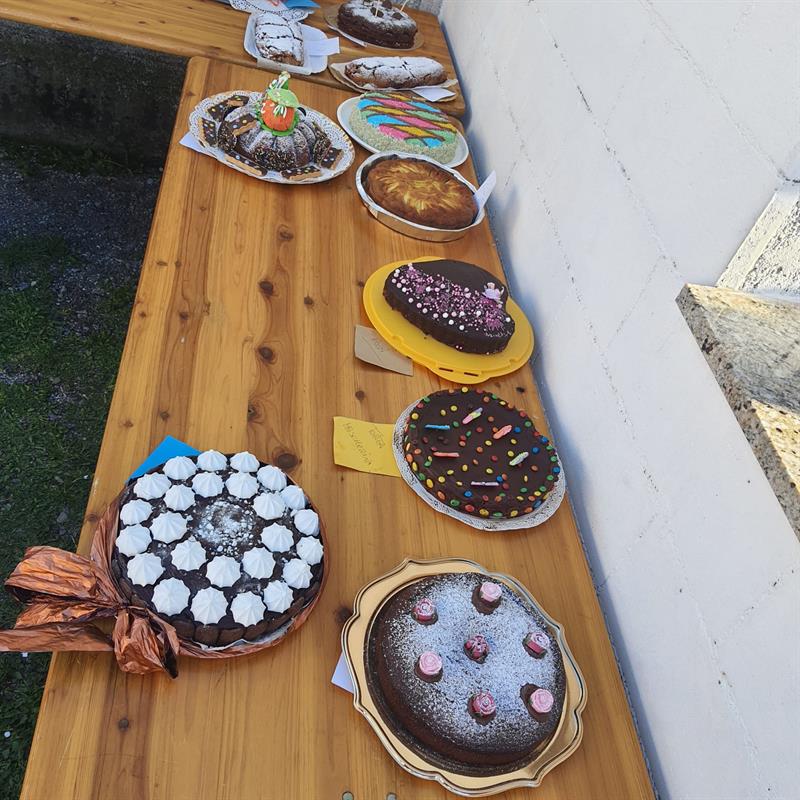 WhatsApp Image 2026-02-17 at 19.04.13 (1)