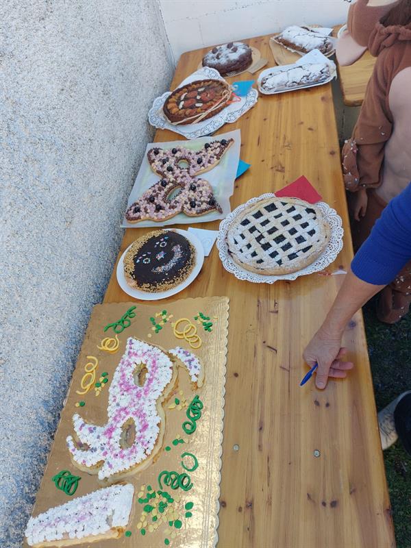 WhatsApp Image 2026-02-17 at 19.19.55 (1)